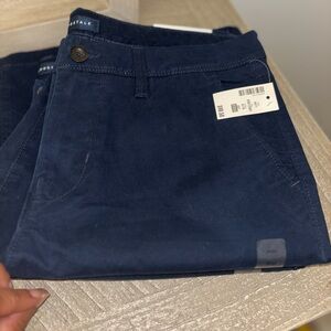 Aero Slim Straight Navy Pants